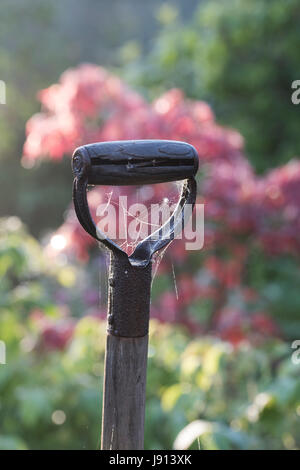 Alte Garten Spaten griff in den frühen Morgennebel. UK Stockfoto