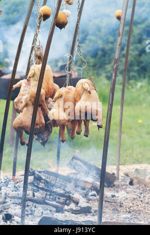 Argentinische Feuer Grube Kochen Hähnchen und Lamm in Daylesford Organic Farm-Sommerfest. Daylesford, Cotswolds, Gloucestershire, England Stockfoto