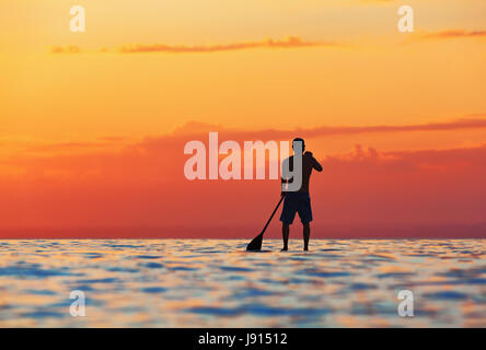 Paddel-Boarder. Schwarze Sonnenuntergang Silhouette der jungen Sportler Paddeln auf Stand up Paddleboard. Gesunde Lebensweise. Wassersport, SUP-Abenteuer-Touren. Stockfoto