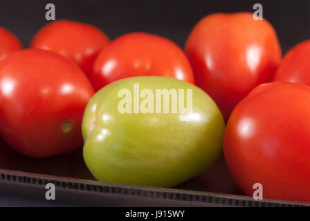 Grüne und rote Tomaten auf einem schwarzen Hintergrund Stockfoto