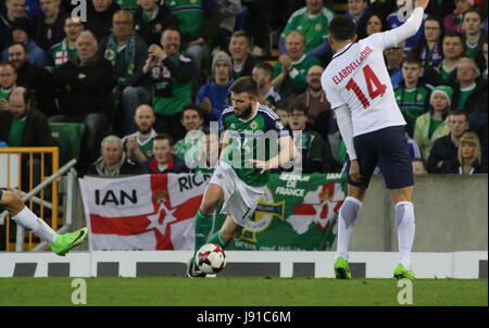 Nationale Fußball-Stadion im Windsor Park, Belfast. 26. März 2017. 2018 World Cup Qualifier - Nordirland 2 Norwegen 0. Northern Ireland Stuart Dallas (14 - grün) in Aktion. Stockfoto