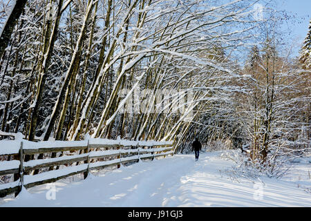 Schnee in Vancouver Stockfoto