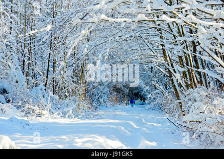 Schnee in Vancouver Stockfoto