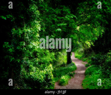 GB - DEVON: entlang der Küste über die Anstey Bucht zwischen Babbacombe und Torquay Stockfoto