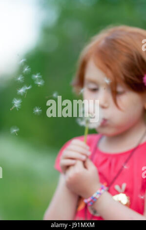 Weibliches Kind rote Haare, verschwommen im Hintergrund, bläst auf einer Blume (Taraxacum). Samen im Vordergrund. Stockfoto