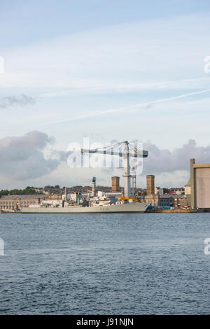 F236 HMS Montrose neben in Devonport Royal Naval Dockyard, Plymouth... Stockfoto