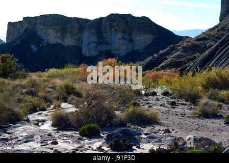 Tabernas-Wüste, eine der einzigartigsten Wüsten der Welt. Die einzige europäische Wüste und eines der berühmten Wahrzeichen in Spanien. Andalusien, Provinz o Stockfoto