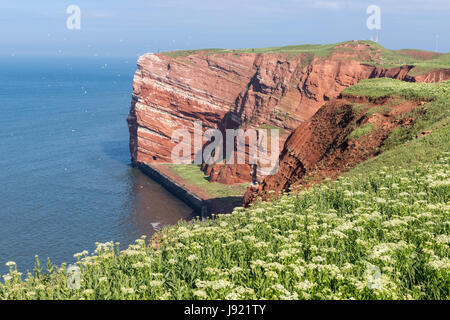 Rote Klippen am deutschen Insel Helgoland in der Nordsee Stockfoto