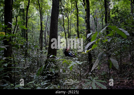 Ein Filipino Mann schwingt auf einem Seil am Bohol Wald ein künstlichen Mahagoni Wald erstreckt sich in einem zwei Kilometer langen dicht Mahagonibäume befindet sich an der Grenze des Loboc und Bilar Städte der Insel Bohol gepflanzt, befindet sich in der Region Central Visayas auf den Philippinen Stockfoto