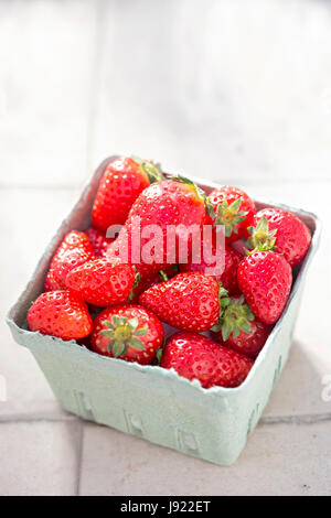 Körbchen frische Erdbeeren erschossen am sonnigen Sommertag Stockfoto