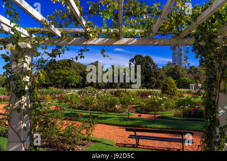 3 de Febrero Park (Rose Garden). Palermo, Buenos Aires, Argentinien Stockfoto