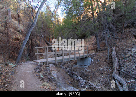 Gila Cliff Dwellings National Monument in New Mexico enthält Freizeit Wanderwege, ursprüngliche indianische Kunst und archäologischen Ruinen Stockfoto