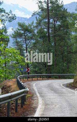 Kurvenreiche Straße in Bergen unter Kiefernwäldern Stockfoto