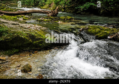 Stream, Schlucht, Klamm, Slowenien, Tal, Schlucht, Torrent, Wasserfall, Landschaft, Stockfoto