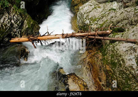 Stream, Schlucht, Klamm, Slowenien, Tal, Schlucht, Torrent, Wasserfall, Landschaft, Stockfoto