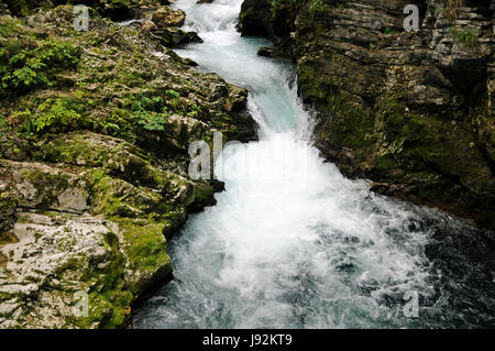 Stream, Schlucht, Klamm, Slowenien, Tal, Schlucht, Torrent, Wasserfall, Landschaft, Stockfoto