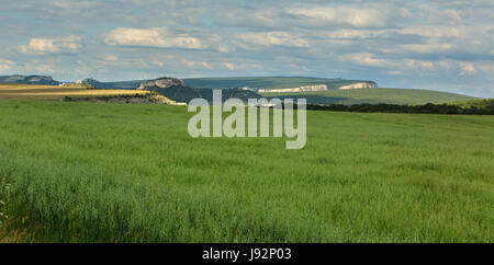 Höhlenstadt in Bachtschyssaraj Styr, Crimea Stockfoto