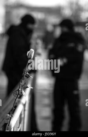 Polizisten und eine weiße Rose - ein Frieden Symbol auf der Barriere Demonstranten Trennung vom Parlament (Sejm). Straße protestieren, Warschau, Polen. Stockfoto