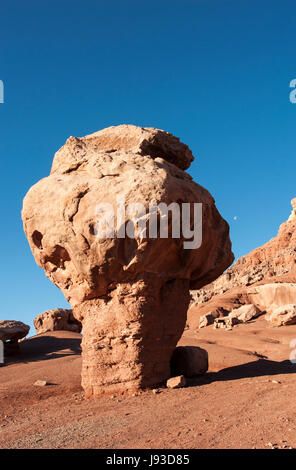 Nordamerika; Vereinigten Staaten; Arizona; Wüste; Vermilion Cliffs Nationalmonument; Wüste; Land bildet. Stockfoto
