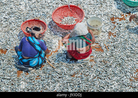 Fischer und Holzboote im Meer Blick von Pamban Brücke, Rameshwaram Stockfoto