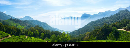 Munnar, Kerala, Western Ghats, Teegarten, Munnar, Teegarten Munnar, Munnar Kerala, Kerala Tourism, Sunrise in Munnar, morgen mal in Munnar, Kerala Stockfoto