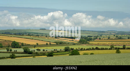 Yorkshire Wolds Panoramen Stockfoto