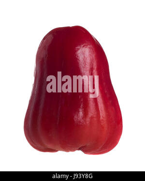 Lebensmittel, Nahrungsmittel, süß, isoliert, Farbe, Blume, Rose, Pflanze, Reifen, Lager Stockfoto