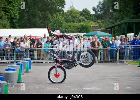 Steve Colley Stuntfahrer auf dem Gas Gas Fahrrad Motorrad World Show in Beaulieu Motor Museum 2008 Stockfoto