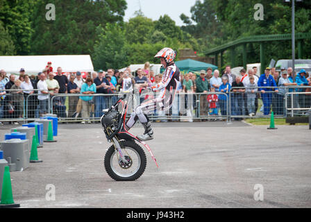 Steve Colley Stuntfahrer auf dem Gas Gas Fahrrad Motorrad World Show in Beaulieu Motor Museum 2008 Stockfoto