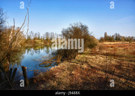 Urwald, Natur-Heiligtum, Elsass, Urwald, Natur-Heiligtum, Stockfoto