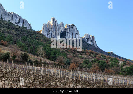 Frankreich, Vaucluse, Gigondas, Dentelles de Montmirail und der Weinberg, hier die Dentelles Sarrasines Stockfoto