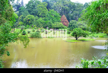 Die Aussicht auf den schönen See zwischen üppigem Grün des Botanischen Gartens in Peradeniya, Sri Lanka Stockfoto