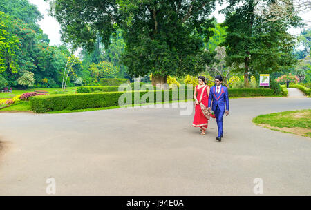 KANDY, SRI LANKA - 28. November 2016: Königliche Botanische Garten ist der beste Ort für die Hochzeitsfeier am 28. November in Kandy. Stockfoto