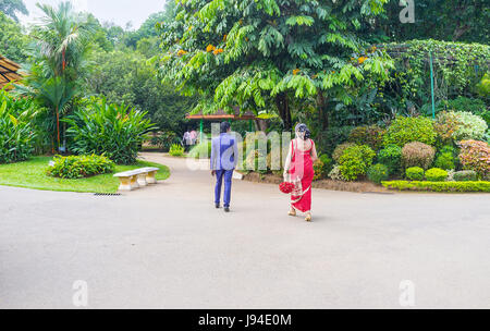 KANDY, SRI LANKA - 28. November 2016: Das Brautpaar im traditionellen Hochzeitskostüme gehen im königlichen botanischen Garten, am 28. November in Kandy. Stockfoto