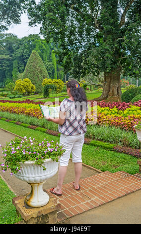 Kandy, Sri Lanka - November 28, 2016: Das Mädchen mit der Karte von peradeniya Königlichen botanischen Garten unter den leuchtenden Blumen und Pflanzen der Blumen Garde Stockfoto