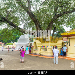 PERADENIYA, SRI LANKA - 28. November 2016: Der Heilige Bodhi-Baum ist eines der wichtigsten Objekte der Gatambe Sri Rajopawanaramaya Tempel, auf Peradeniya, Stockfoto