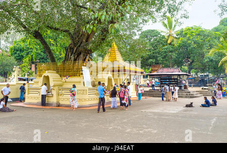 PERADENIYA, SRI LANKA - 28. November 2016: der alte Gatambe Viharaya Komplex mit Gemeindemitgliedern neben der Heilige Bodhi-Baum in Peradeniya, auf Reihe Stockfoto