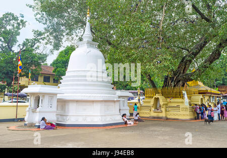 PERADENIYA, SRI LANKA - 28. November 2016: Der Heilige Bodhi-Baum und Dagoba sind die wichtigsten Heiligtümer des Gatambe-Tempels, am 28. November. Stockfoto