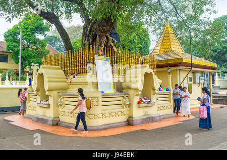 PERADENIYA, SRI LANKA - 28. November 2016: Wandern rund um heilige Bodhi-Baum ist der wichtigste Ritus auf jedem buddhistischen Tempel in Peradeniya, am 28. November. Stockfoto