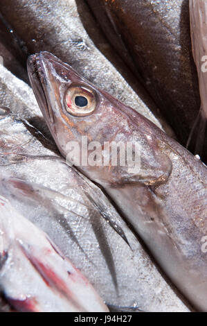 blau, Lebensmittel, Nahrungsmittel, Closeup, Haut, Silber, Gastronomie, frische, kalt, Stockfoto