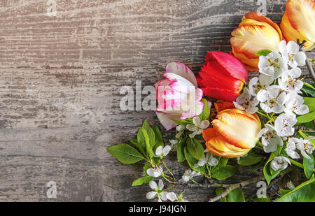 Hintergrund mit Blumen und Blüten der Apfelbäume und Tulpen mit Textfreiraum. Einen horizontalen Rahmen. Stockfoto