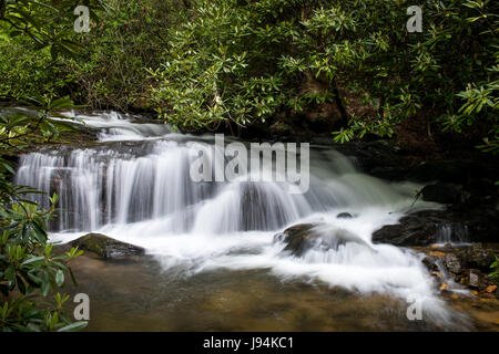 Wildcat Creek liegt in Rabun County im Norden Georgiens.  Es fließt in der Regel West nach Ost, mündet in Lake Burton entlang der westlichen Seite.  Es gibt einen gut entwickelter Campingplatz entlang Wildcat Creek Road, die den Zugang zu den Creek in diesem Bereich ist.  Es ist jährlich mit Regenbogenforellen bestückt und ist sehr beliebt bei Fischer. Stockfoto