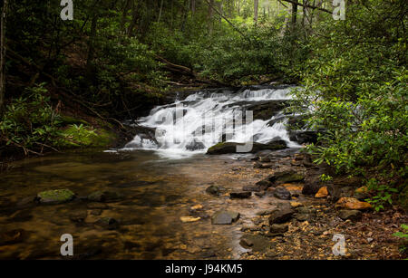 Wildcat Creek liegt in Rabun County im Norden Georgiens.  Es fließt in der Regel West nach Ost, mündet in Lake Burton entlang der westlichen Seite.  Es gibt einen gut entwickelter Campingplatz entlang Wildcat Creek Road, die den Zugang zu den Creek in diesem Bereich ist.  Es ist jährlich mit Regenbogenforellen bestückt und ist sehr beliebt bei Fischer. Stockfoto