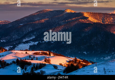 Schönen warmen Winter Sonnenaufgang auf bewölkten Morgen mit Schnee bedeckten Felder in der Nähe des ländlichen Gebiet der Karpaten. Stockfoto