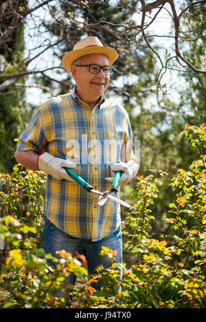 Ältere Mann in seinem Garten. Er wird um die Pflanzen zu trimmen. Stockfoto