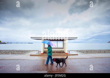 Ein Mann geht seinen Hund vorbei an Küsten Unterschlupf auf einem nassen Strandpromenade promenade mit einem bunten Schirm zum Schutz gegen den Regen fallen in Llandudno, Wales, UK Stockfoto