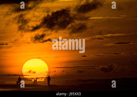 South Carolina, USA. 5. Juni 2017. Menschen am Strand, die Silhouette von der aufgehenden Sonne an einem bewölkten Morgen 5. Juni 2017 in Folly Beach, South Carolina. Folly Beach ist eine schrullige Strandgemeinde außerhalb Charleston Einheimischen als Edge of America bekannt. Bildnachweis: Planetpix/Alamy Live-Nachrichten Stockfoto