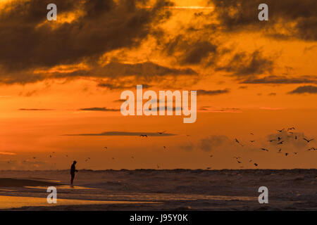 South Carolina, USA. 5. Juni 2017. Ein Fischer wirft seine Linie am Strand bei Sonnenaufgang an einem bewölkten Morgen 5. Juni 2017 in Folly Beach, South Carolina. Folly Beach ist eine schrullige Strandgemeinde außerhalb Charleston Einheimischen als Edge of America bekannt. Bildnachweis: Planetpix/Alamy Live-Nachrichten Stockfoto