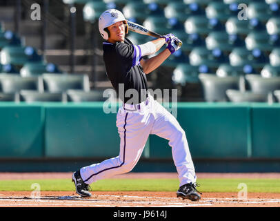 25. Mai 2017 - Austin Infielder Tyler Kendrick (8) at bat im regulären Spiel in Southland Conference NCAA Baseball-Turnier zwischen New Orleans und Stephen F Austin von Constellation Feld in Sugar Land, Texas. : Kredit Maria Lysaker/Cal Sport Bildmedien Stockfoto