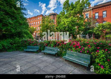 Bänke und Blumen im Park Avenue-Median-Park in Bolton Hill, Baltimore, Maryland. Stockfoto